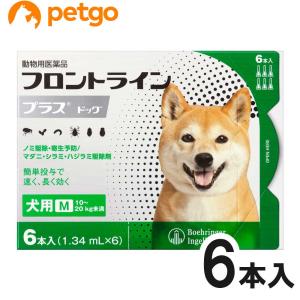 犬用フロントラインプラスドッグM 10kg〜20kg 6本（6ピペット）（動物用医薬品）｜petgo-3rd