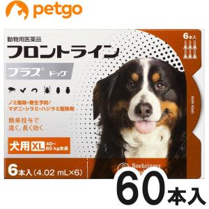 【10箱セット】犬用フロントラインプラスドッグXL 40kg〜60kg 6本（6ピペット）（動物用医薬品）
