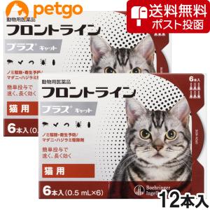 【ネコポス(同梱不可)】【2箱セット】猫用フロン...の商品画像