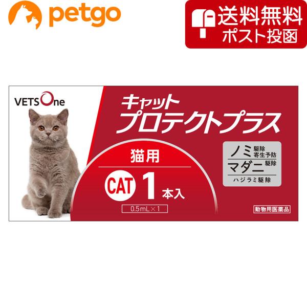 【ネコポス(同梱不可)】ベッツワン キャットプロテクトプラス 猫用 1本 (動物用医薬品)
