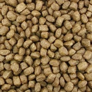 ニュートロ シュプレモ 子犬用 小粒 1kgの詳細画像1