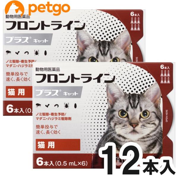 【2箱セット】猫用フロントラインプラスキャット 6本（6ピペット）（動物用医薬品）