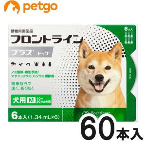 【10箱セット】犬用フロントラインプラスドッグM...の商品画像