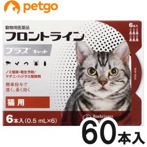 【10箱セット】猫用フロントラインプラスキャット 6本（6ピペット）（動物用医薬品）
