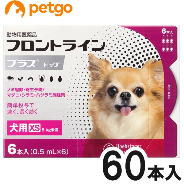 【10箱セット】犬用フロントラインプラスドッグXS 5kg未満 6本（6ピペット）（動物用医薬品）