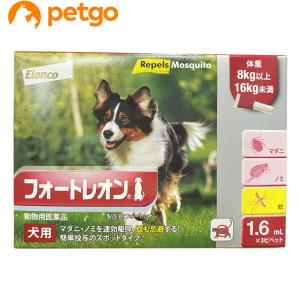 フォートレオン 犬用 1.6mL 8〜16kg 3ピペット（動物用医薬品）｜petgo