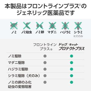 【ネコポス(同梱不可)】ベッツワン ドッグプロ...の詳細画像3