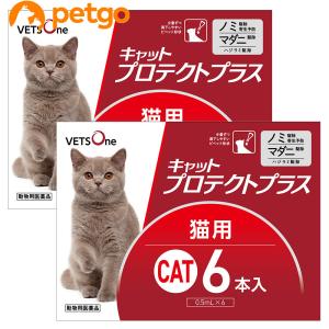 【2箱セット】ベッツワン キャットプロテクトプラス 猫用 6本 (動物用医薬品)｜ペットゴー ヤフー店