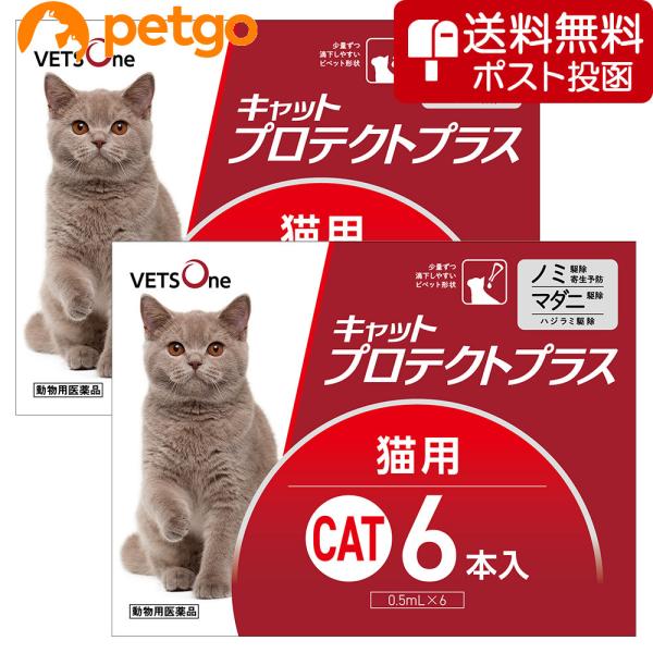 【5%OFFクーポン】【ネコポス(同梱不可)】【2箱セット】ベッツワン キャットプロテクトプラス 猫...