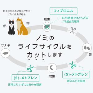 ベッツワン キャットプロテクトプラス 猫用 9...の詳細画像2