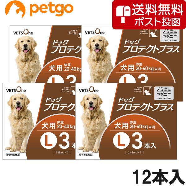 【ネコポス(同梱不可)】【4箱セット】ベッツワン ドッグプロテクトプラス 犬用 L 20kg〜40k...