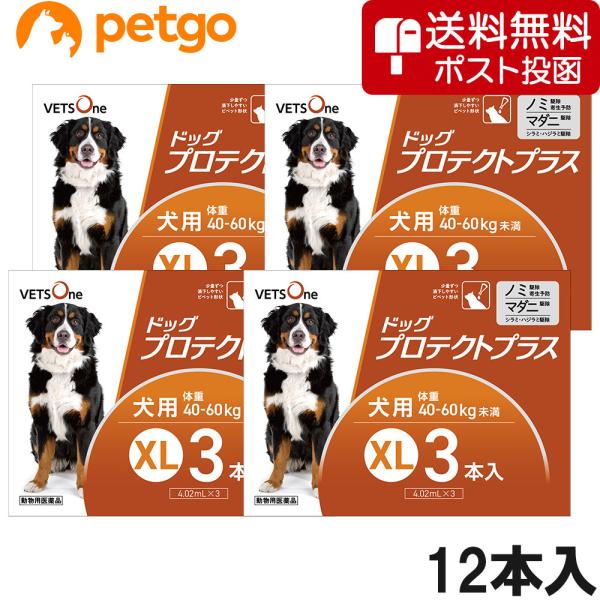 【ネコポス(同梱不可)】【4箱セット】ベッツワン ドッグプロテクトプラス 犬用 XL 40kg〜60...