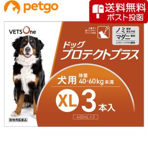 【ネコポス(同梱不可)】ベッツワン ドッグプロテ...の商品画像
