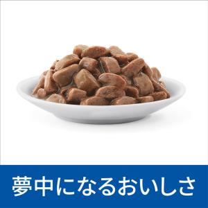 【4ケースセット】ヒルズ 食事療法食 猫用 c...の詳細画像2