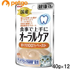【まとめ買いお得】健康缶パウチ　食事で上手に水分補給まぐろペースト　合計192袋 アイシア（AIXIA） 国産 健康缶パウチ 食事で上手に水分補給 かつお100