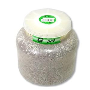 【送料無料・フォーテック】Ｇ−ｐｏｔスタウト　2000ｃｃ×９本セット　※商品説明をよくお読みの上、...