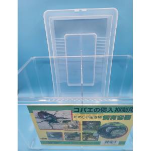 コバエ侵入抑制　飼育ケース　中サイズ　（仕切り付）290×185×205　１個