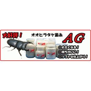 KBファーム　【オオヒラタケ菌床・クワガタムシ幼虫飼育用菌床・菌糸】AGブロック　３５００ｃｃ　（ブ...