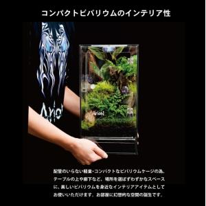 【送料無料】ArionJapan VR20-V...の詳細画像4