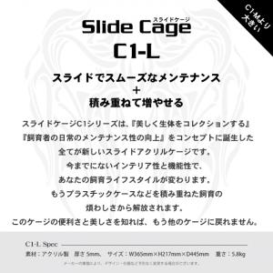 【送料無料】ArionJapan Slide ...の詳細画像1
