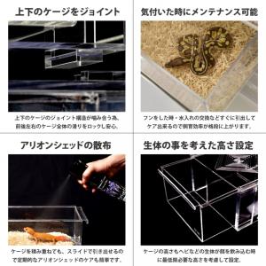 【送料無料】ArionJapan Slide ...の詳細画像3