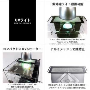 【送料無料】ArionJapan LX50 i...の詳細画像4