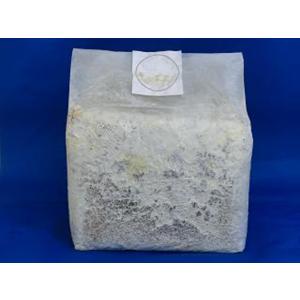 微創研菌糸ブロック オオヒラタケＥタイプ 広葉樹粗目　３，６Ｌ　※商品説明をよくお読みの上、ご注文下さい。