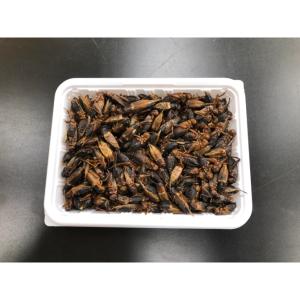 【送料無料】【富城物産・クール便発送】冷凍フタ...の詳細画像1