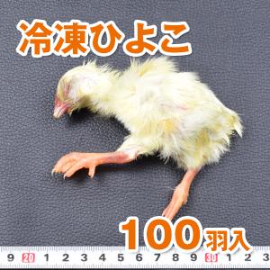 【送料無料】【富城物産・クール便発送】冷凍ひよこ 100羽入り(バラ詰め)｜petgoods-lirya