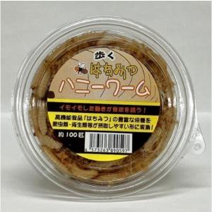【送料無料・邑楽ファーム】ハニーワーム　(約100匹入り/８カップセット)　※発送についての注意事項(画像)を参照の上ご注文下さい。