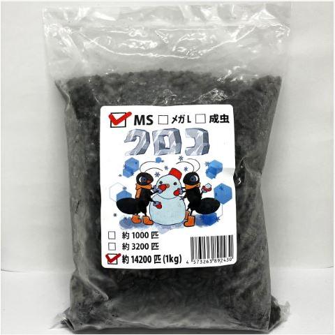 【送料無料・邑楽ファーム】【クール便発送】冷凍クロコオロギ　MSサイズ　１ｋｇ(約14200匹入り)