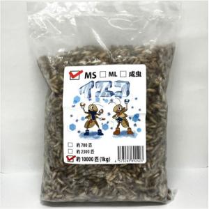 【送料無料・邑楽ファーム】【クール便発送】冷凍イエコオロギ　ＭSサイズ　１ｋｇ(約10000匹入り)