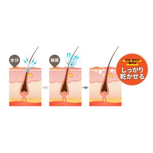 【送料無料】nello ペットドライルーム M...の詳細画像2