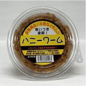 【邑楽ファーム】ハニーワーム　(約35匹入り)　※発送についての注意事項(画像)を参照の上ご注文下さい。