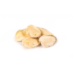 NUTRI BITES フリーズドライサーモン 犬猫用510g 1805224 オメガ3 100