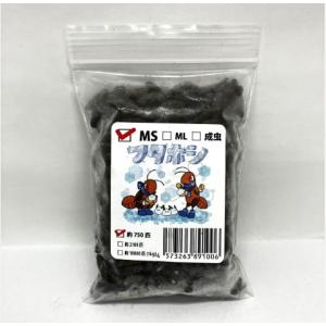 【送料無料・邑楽ファーム・クール便発送】冷凍フタホシコオロギ　ＭＳサイズ(約750匹入り)×2個セット
