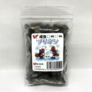 【送料無料・邑楽ファーム・クール便発送】冷凍フタホシコオロギ　成虫サイズ(約100匹入り)×2個セット