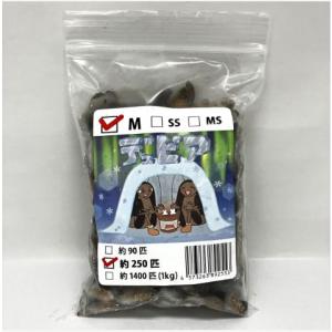 【送料無料・邑楽ファーム・クール便発送】冷凍デュビア　Ｍサイズ(約250匹入り)