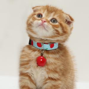 猫 首輪 赤リンゴ かわいい りんご 鈴大きめ...の詳細画像1