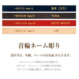 Cocolino コッコリーノ 首輪ネーム彫り...の詳細画像1