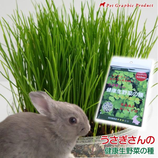ウサギ 餌 「 うさぎさんの健康生野菜 」( 種単品 ) 生牧草 草 種 無農薬