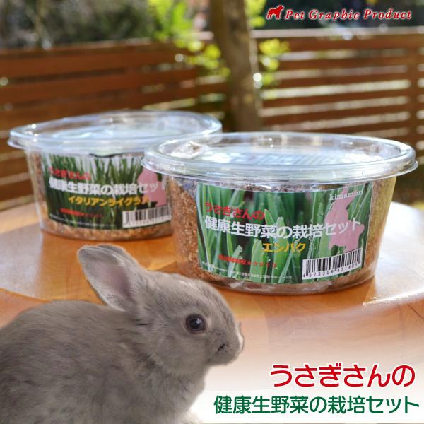 ウサギ 餌 うさぎさんの健康生野菜 ＜栽培セット＞ 生牧草