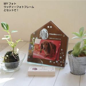 メモリアル 犬 メモリアルボックス 写真入り ...の詳細画像5