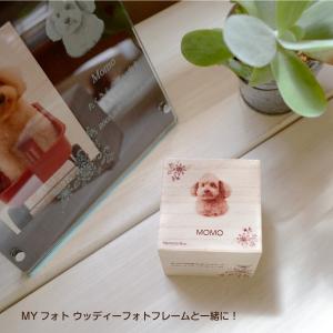 メモリアル 犬 メモリアルボックス 写真入り ...の詳細画像5