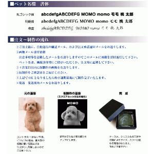 写真入り メモリアルクリスタル 犬 猫 ペット...の詳細画像1