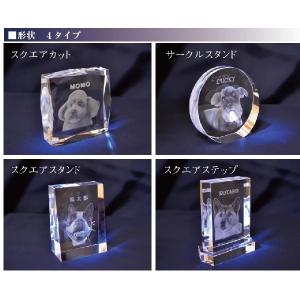 写真入り メモリアルクリスタル 犬 猫 ペット...の詳細画像2