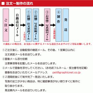 写真入り メモリアルクリスタル 犬 猫 ペット...の詳細画像3