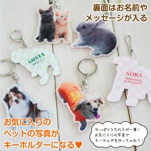 アクキー キーホルダー オリジナル 写真入り ...の詳細画像1