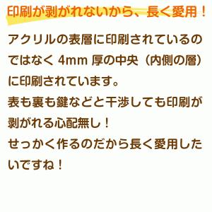 アクキー キーホルダー オリジナル 写真入り ...の詳細画像3