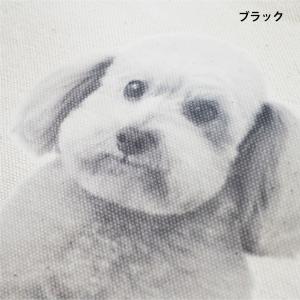 写真入り 猫 お散歩ショルダーバッグ セピアカ...の詳細画像4